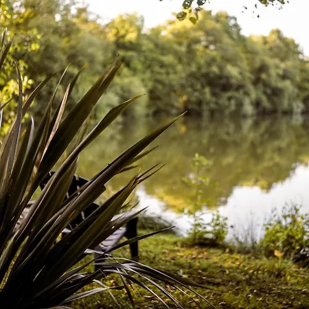 Du Puy Charrier, Proche Puy Dufou, Classe 3 Etoiles, Plan D'eau Prive