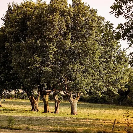 Du Puy Charrier, Proche Puy Dufou, Classe 3 Etoiles, Plan D'eau Prive