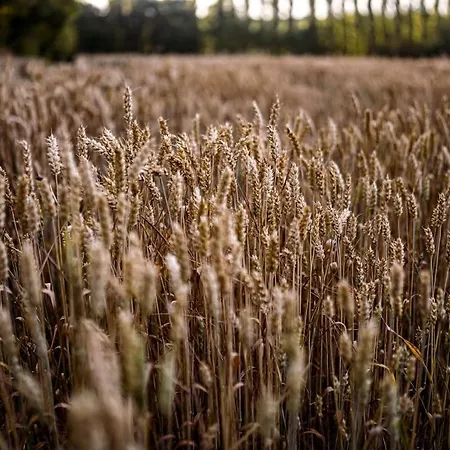 بيت للعطل Du Puy Charrier, Proche Puy Dufou, Classe 3 Etoiles, Plan D'eau Prive *