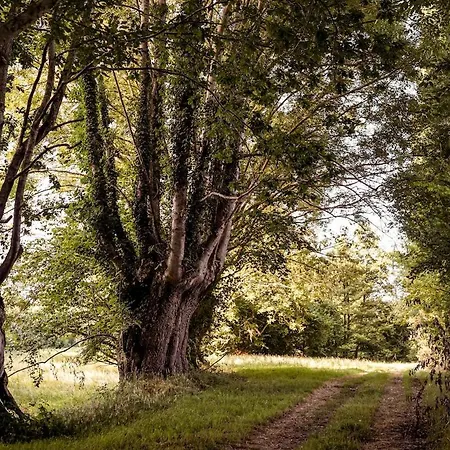 Du Puy Charrier, Proche Puy Dufou, Classe 3 Etoiles, Plan D'eau Prive *