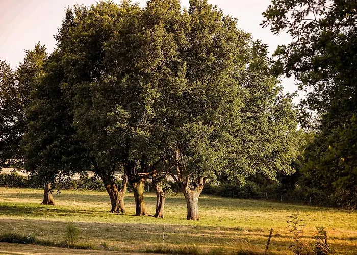 Du Puy Charrier, Proche Puy Dufou, Classe 3 Etoiles, Plan D'eau Prive