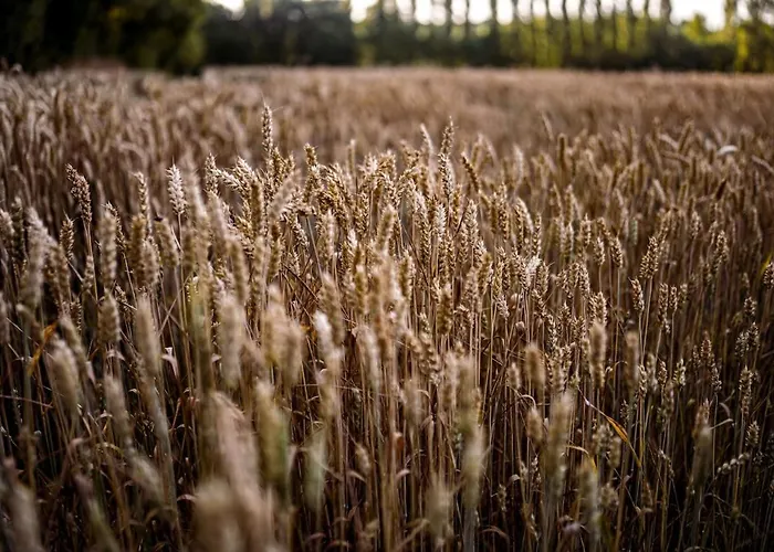 度假居 Du Puy Charrier, Proche Puy Dufou, Classe 3 Etoiles, Plan D'eau Prive *
