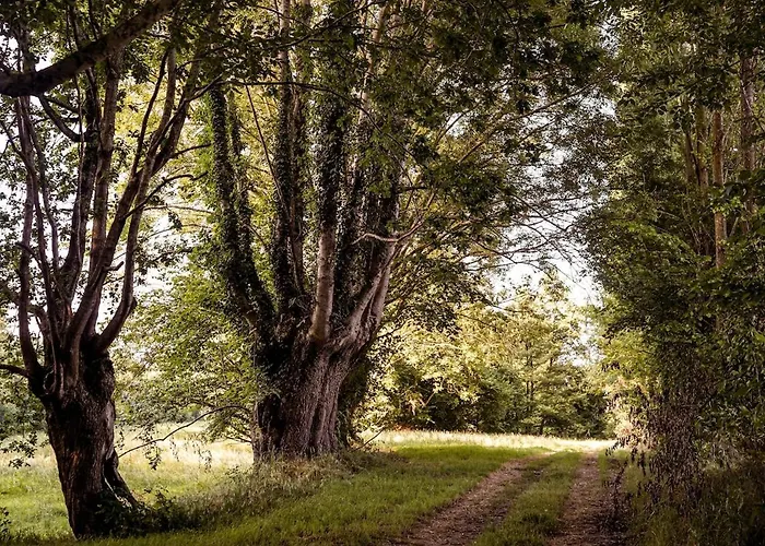 Du Puy Charrier, Proche Puy Dufou, Classe 3 Etoiles, Plan D'eau Prive *